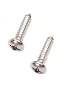 Duotone FS screw selfcutting 2pcs