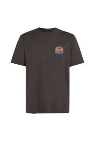 O'Neill Beach Graphic T-Shirt